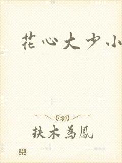 花心大少小说