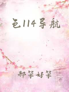 色114导航