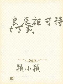 良辰讵可待txt下载