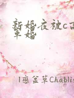 新婚夜被c高h军婚