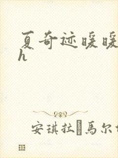 夏奇迹暖暖快穿h