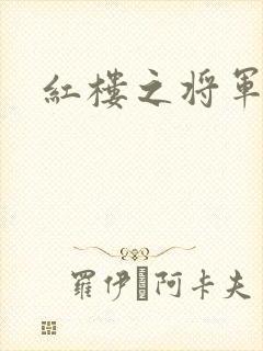 红楼之将军