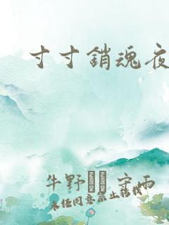 寸寸销魂夜春光