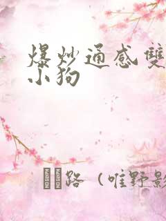 爆炒通感双胞胎小狗