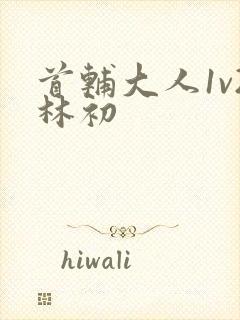 首辅大人1v2林初