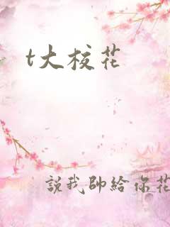 t大校花