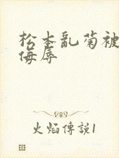松本乱菊被死神侮辱