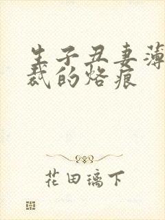 生子丑妻薄情总裁的烙痕