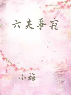 六夫争宠