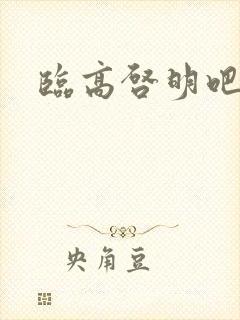 临高启明吧