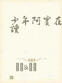 少年阿宾在线阅读