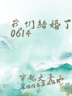 我们结婚了130614