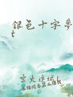 银色十字梦txt