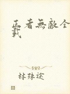 正者无敌全集下载