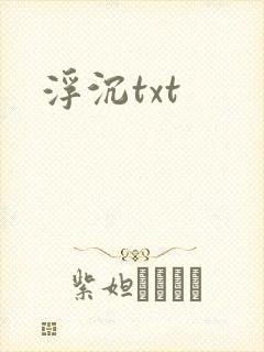 浮沉txt