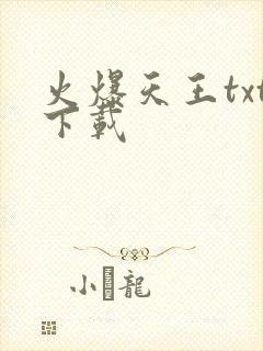 火爆天王txt下载
