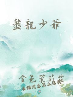 盘龙少爷