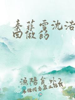 秦菲雪沈浩第几回做的