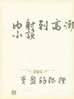 内射到高潮的H小说