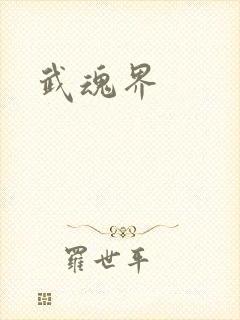 武魂界