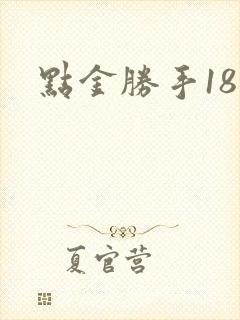 点金胜手18