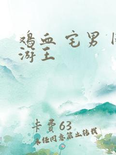 鸡血 宅男 网游王