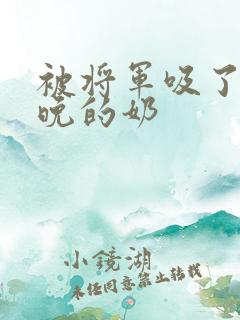 被将军吸了一整晚的奶