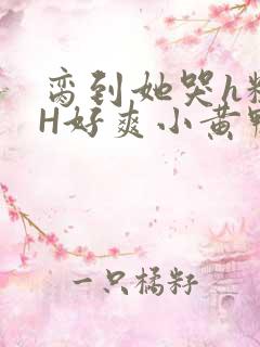 脔到她哭h粗话H好爽小黄鸭视频