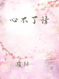 心不了情