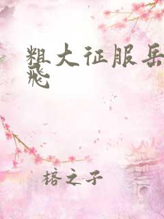 粗大征服岳女双飞