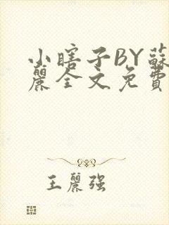 小瞎子BY苏玛丽全文免费笔趣阁