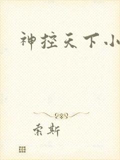 神控天下小说