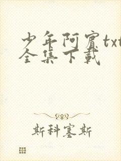 少年阿宾txt全集下载