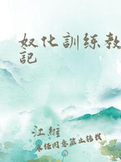 奴化训练教程日记