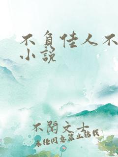 不负佳人不负卿小说