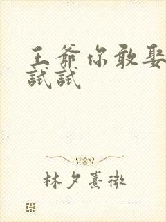 王爷你敢娶小三试试