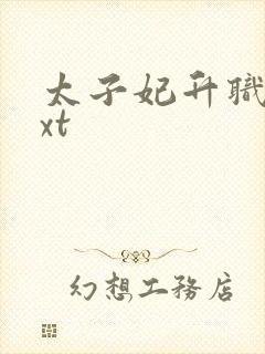 太子妃升职记txt