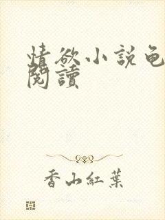 情欲小说龟全文阅读