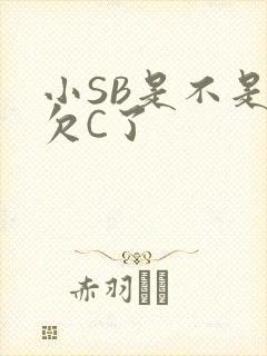 小SB是不是又欠C了