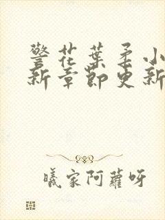 警花叶柔小说最新章节更新