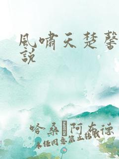风啸天楚馨月小说