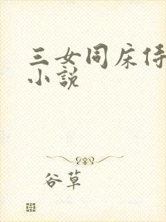 三女同床侍一夫小说