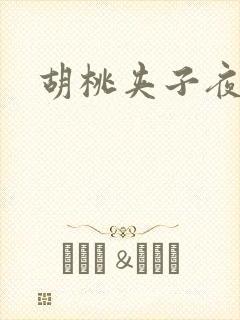 胡桃夹子夜未眠