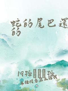 蛇的尾巴还在我的