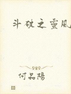 斗破之灵风