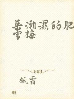 岳潮湿的肥厚李雪梅