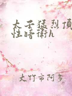 太子猛烈顶弄双性暗卫h