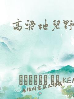 高粱地儿野炕头