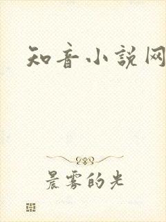 知音小说网