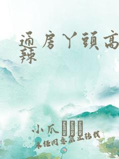 通房丫头高h肉辣